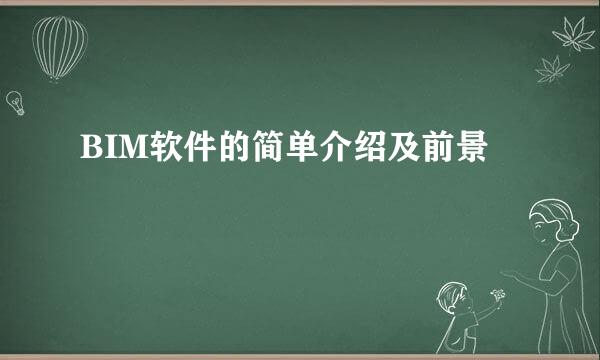 BIM软件的简单介绍及前景