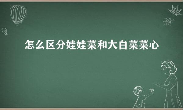怎么区分娃娃菜和大白菜菜心