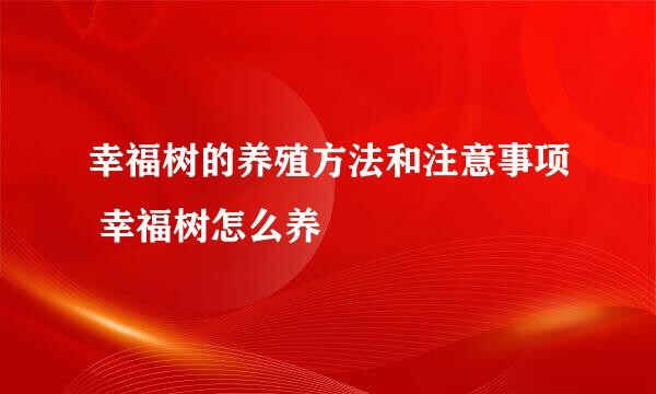 幸福树的养殖方法和注意事项 幸福树怎么养