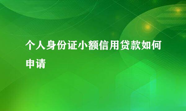 个人身份证小额信用贷款如何申请