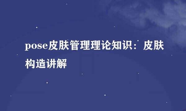 pose皮肤管理理论知识：皮肤构造讲解