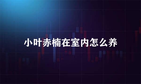 小叶赤楠在室内怎么养