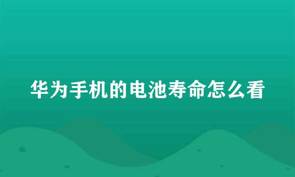 华为手机的电池寿命怎么看