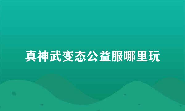 真神武变态公益服哪里玩