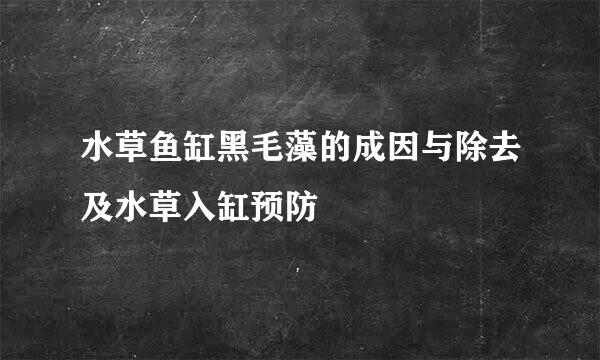 水草鱼缸黑毛藻的成因与除去及水草入缸预防