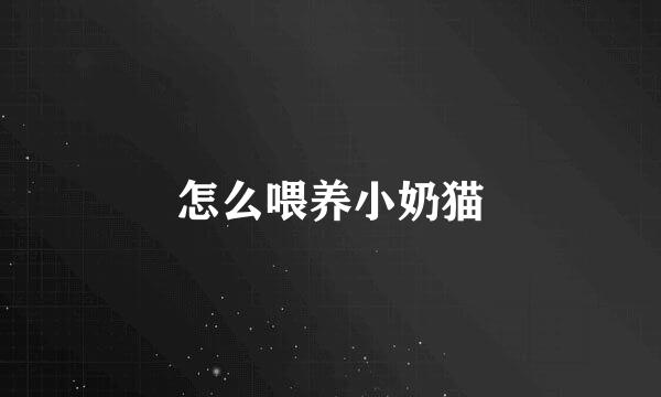 怎么喂养小奶猫