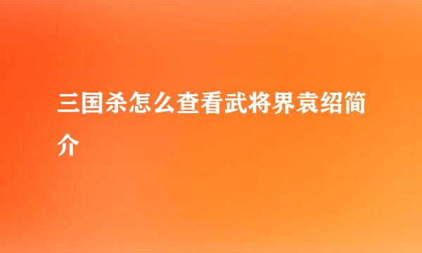 三国杀怎么查看武将界袁绍简介