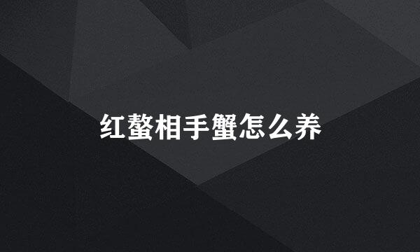 红螯相手蟹怎么养