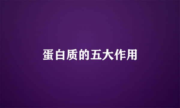 蛋白质的五大作用