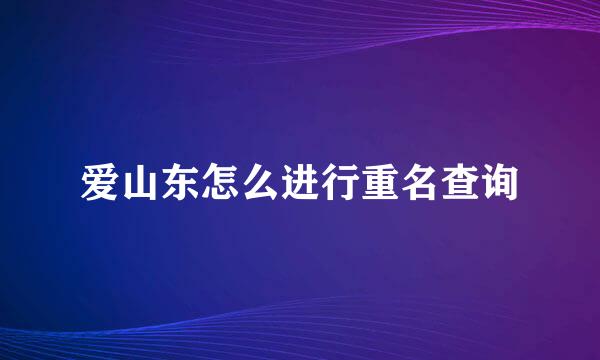 爱山东怎么进行重名查询
