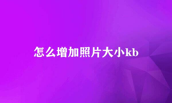 怎么增加照片大小kb