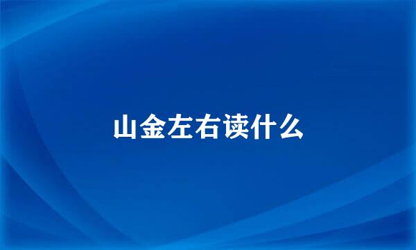 山金左右读什么