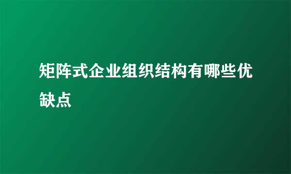 矩阵式企业组织结构有哪些优缺点