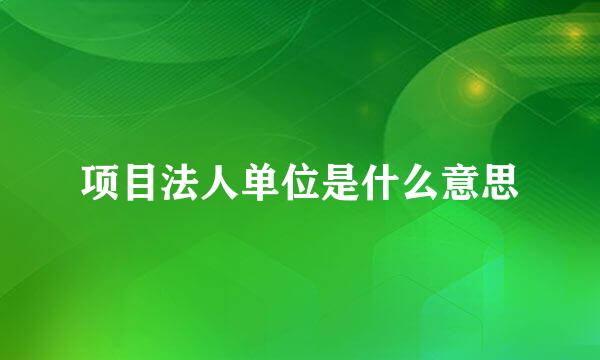 项目法人单位是什么意思