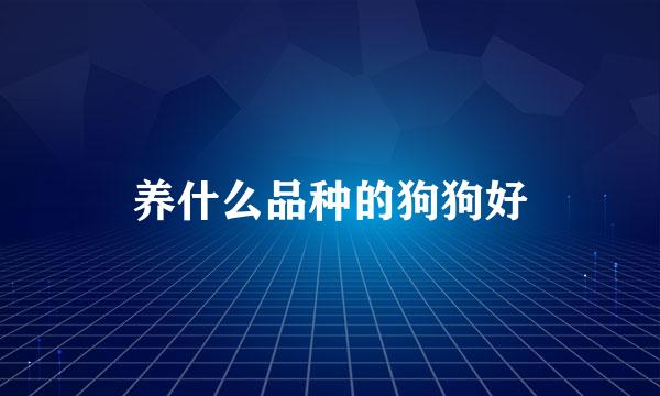 养什么品种的狗狗好