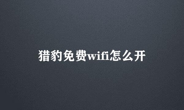 猎豹免费wifi怎么开