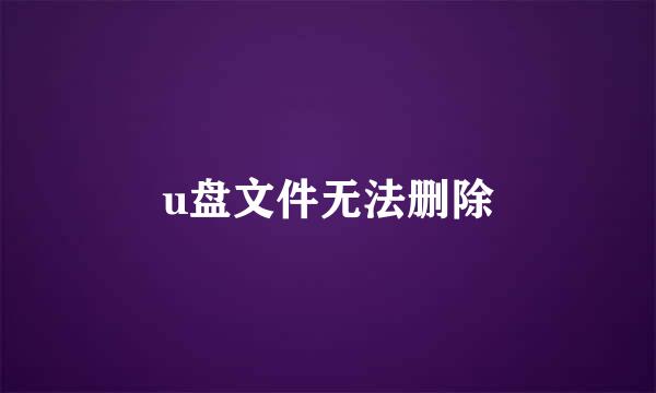 u盘文件无法删除