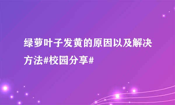 绿萝叶子发黄的原因以及解决方法#校园分享#