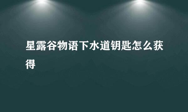 星露谷物语下水道钥匙怎么获得