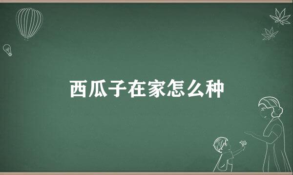 西瓜子在家怎么种
