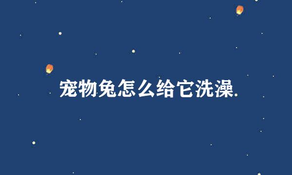 宠物兔怎么给它洗澡