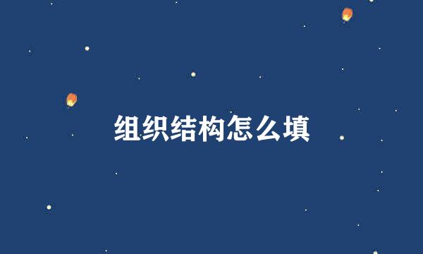 组织结构怎么填