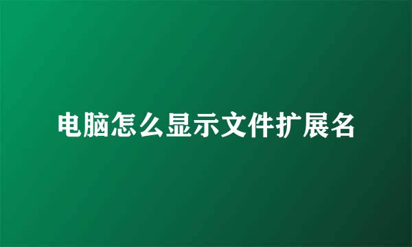 电脑怎么显示文件扩展名