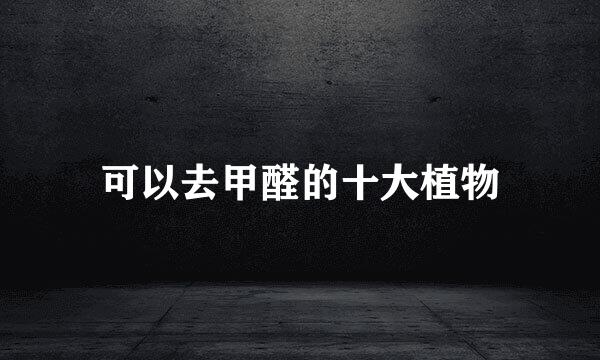 可以去甲醛的十大植物