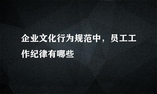 企业文化行为规范中，员工工作纪律有哪些
