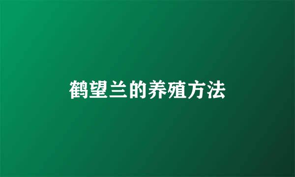 鹤望兰的养殖方法