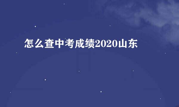 怎么查中考成绩2020山东