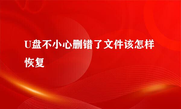 U盘不小心删错了文件该怎样恢复