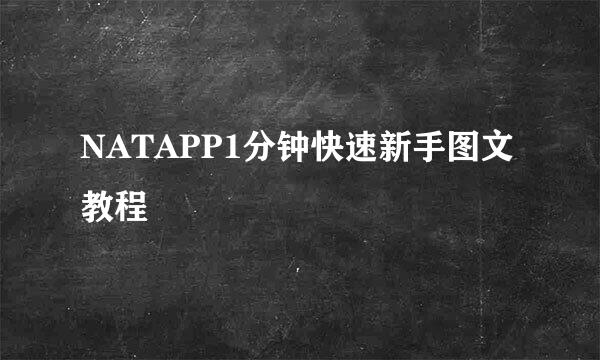 NATAPP1分钟快速新手图文教程