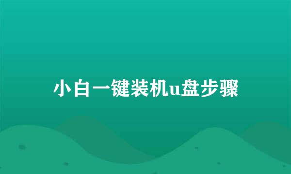 小白一键装机u盘步骤