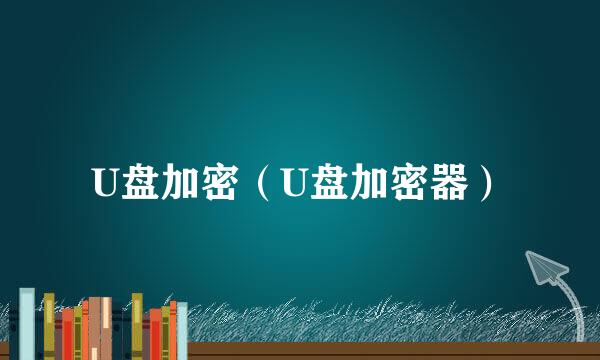 U盘加密（U盘加密器）