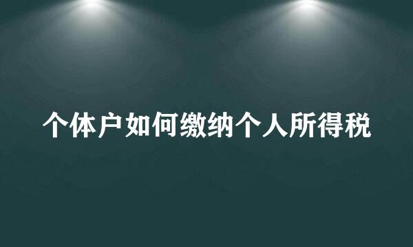 个体户如何缴纳个人所得税