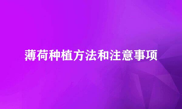 薄荷种植方法和注意事项