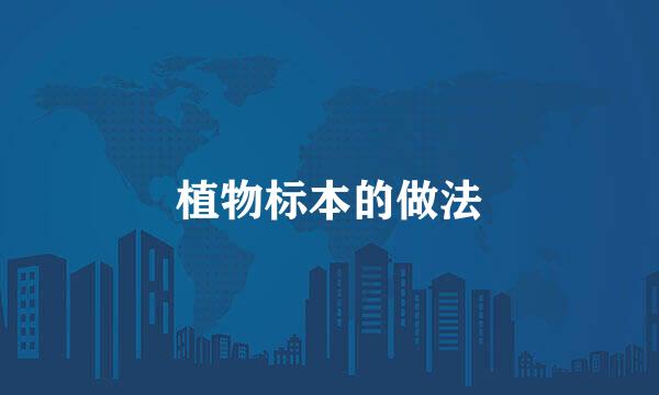 植物标本的做法