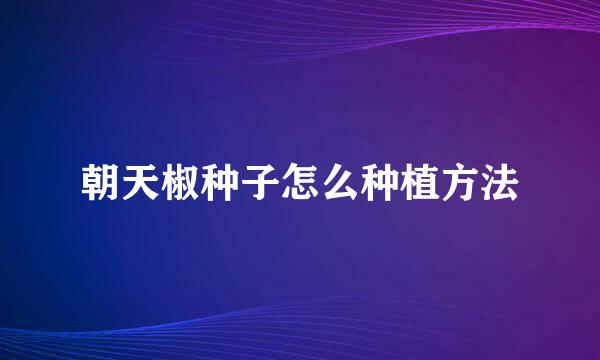 朝天椒种子怎么种植方法