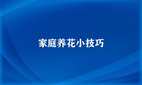 家庭养花小技巧