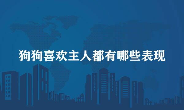 狗狗喜欢主人都有哪些表现