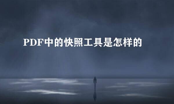 PDF中的快照工具是怎样的