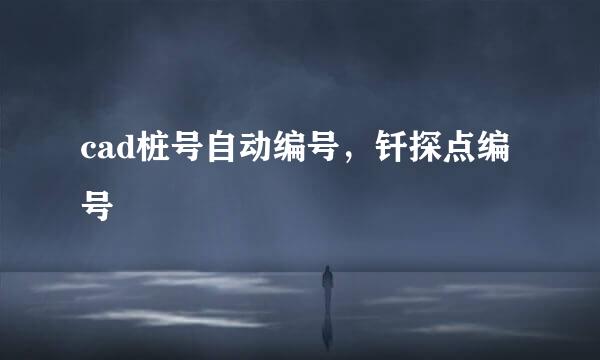 cad桩号自动编号，钎探点编号