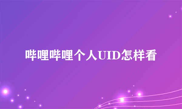 哔哩哔哩个人UID怎样看