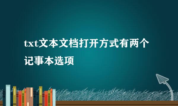 txt文本文档打开方式有两个记事本选项