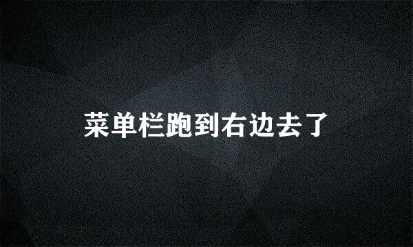 菜单栏跑到右边去了