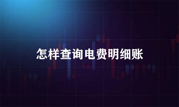 怎样查询电费明细账