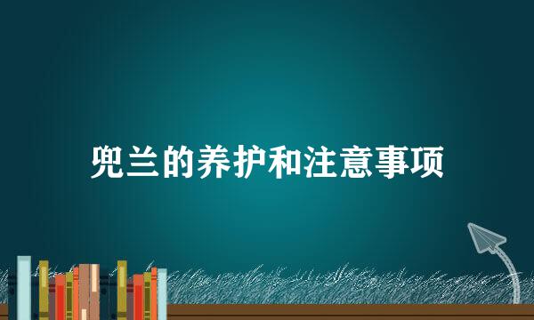 兜兰的养护和注意事项