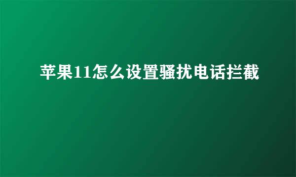 苹果11怎么设置骚扰电话拦截