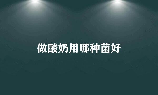 做酸奶用哪种菌好